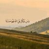 user274701180