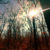 whisper_of_gnosis