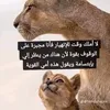 Sarah_zaoui