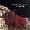 mannealiallam1