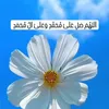 bandayxwdam25