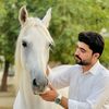 malikijaz537