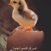 0qdghnmm