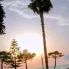 kristi_k15_