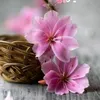 relaxman_alan_2021