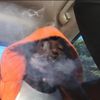 tinyt1k_