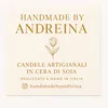 www.tiktok.andrea.com