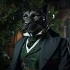 primarypanther