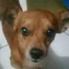 marcosgabriels2