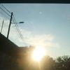 sal_0402