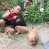 duong_thi_thu_ha