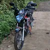 freaaak28
