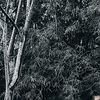 iway_1