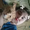 duck_ulyana2