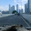 ajo_zainal564