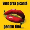 pupamasitaci