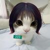 ilin_678