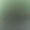 chris_r8251