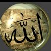 ابو عبدالعزيز