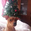ana..mariaaa