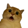 yoovincechill