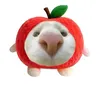 loiphat8