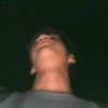 panvozz