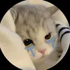 _ghao11