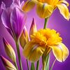 kila_2343
