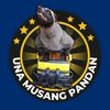 unamusangpandan