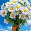 user211599008