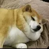 user_valahanyadikxd