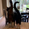 levi_n_calvin