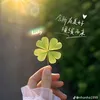 roanqingying