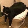 lordthunder7