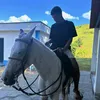 pedrinnfl