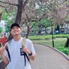 grentea_lts