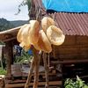 buyung_martin