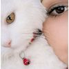 ilin812