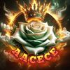 aacece21