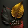 unendingsorrows24