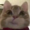 runi_0