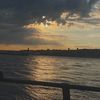 halshammari_
