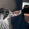 ᷂شيهانه..🦅
