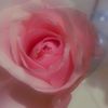 sma__0