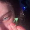beepicheep