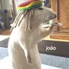 zanata.fx