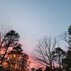 suleyjay