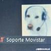 arzeype