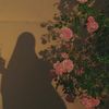 menna.darwish2008